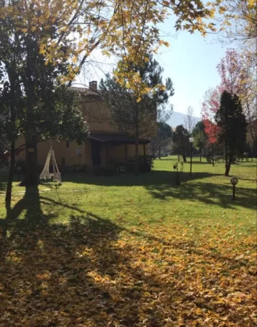 Tasarım Projemiz Bnk Botanik